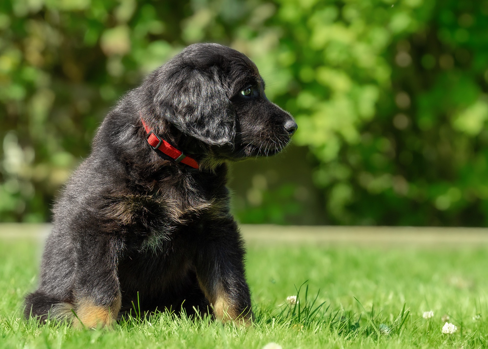 Alba von der Hohen Breite_7