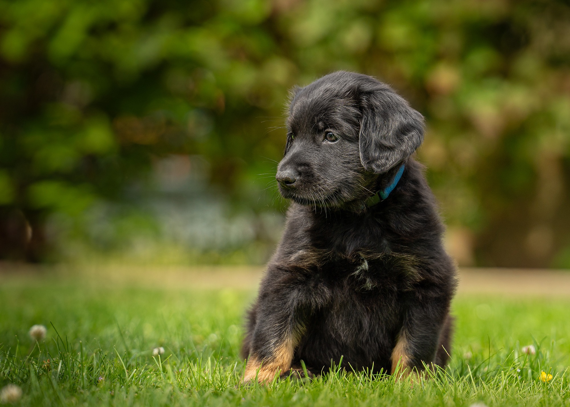 Alek von der Hohen Breite_2