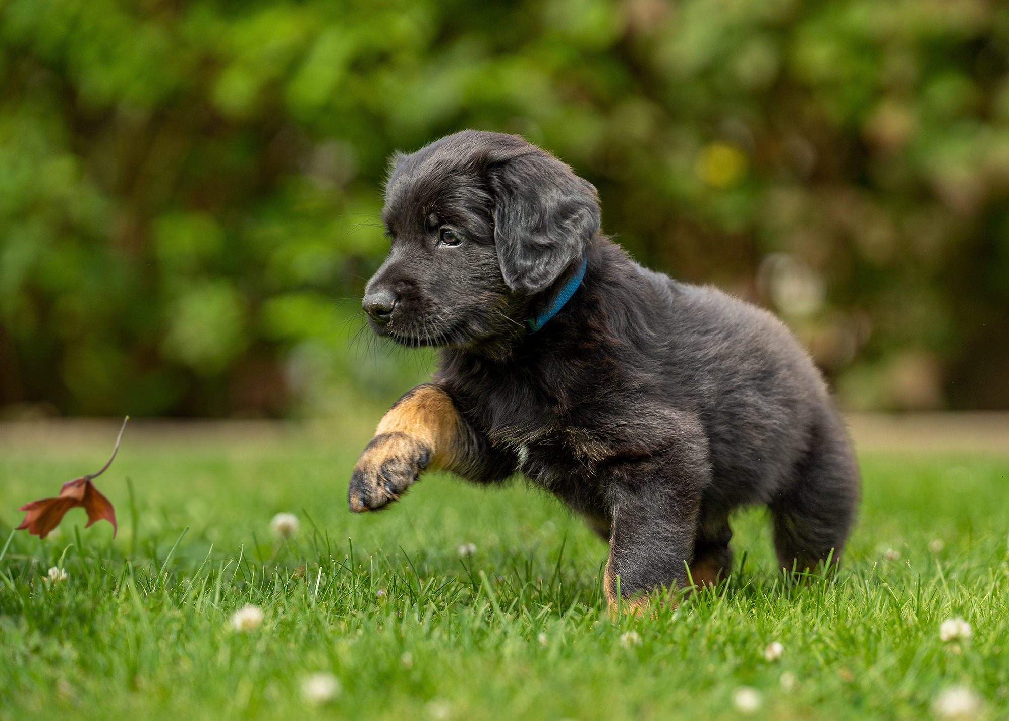 Alek von der Hohen Breite_3