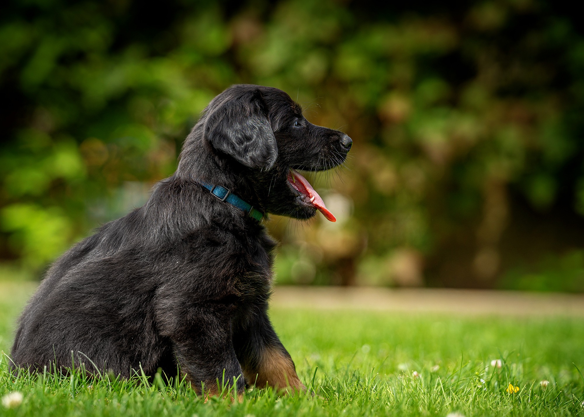 Alek von der Hohen Breite_4