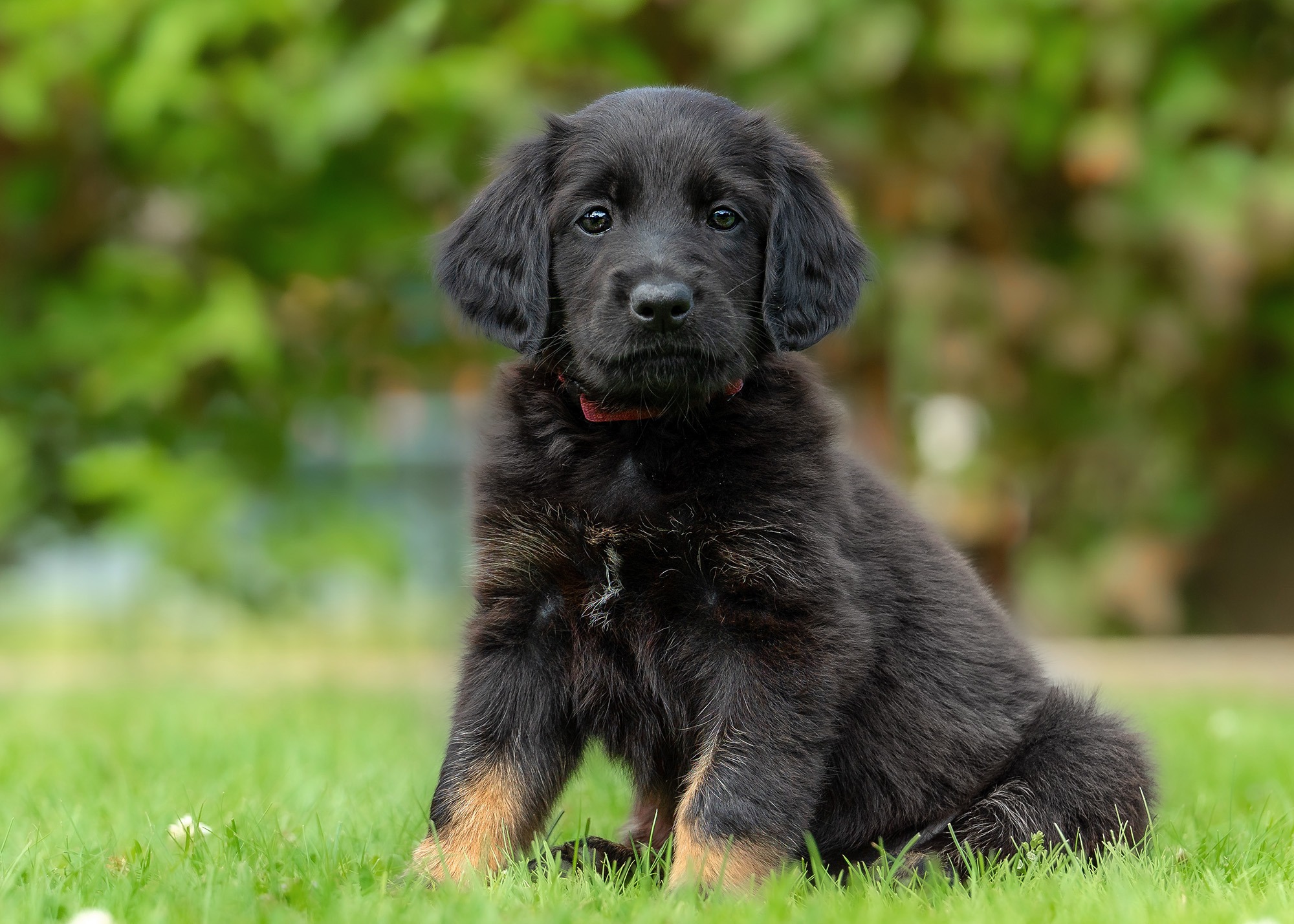 Alicia von der Hohen Breite_2