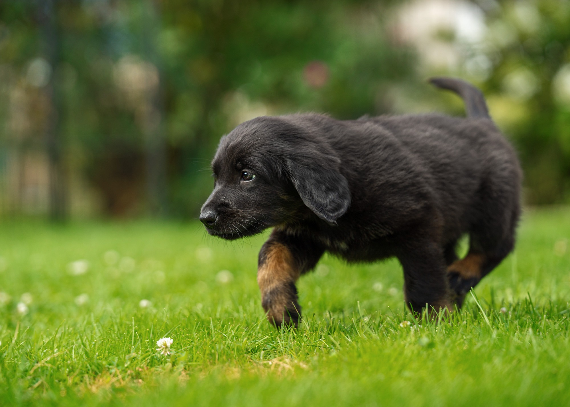 Alicia von der Hohen Breite_3