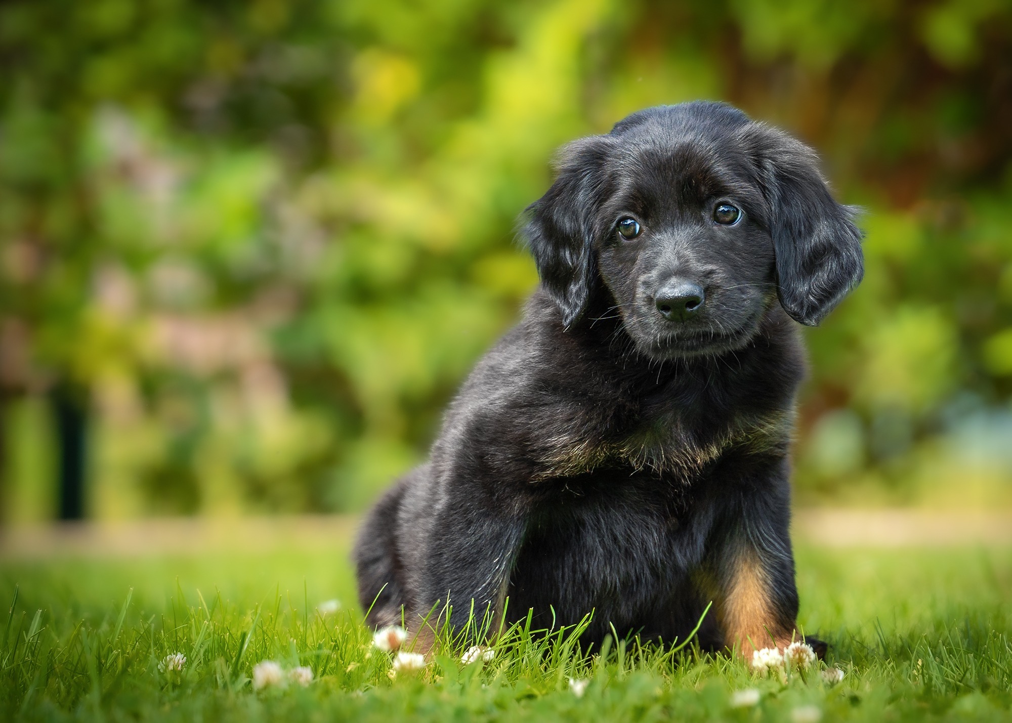 Alina von der Hohen Breite_1