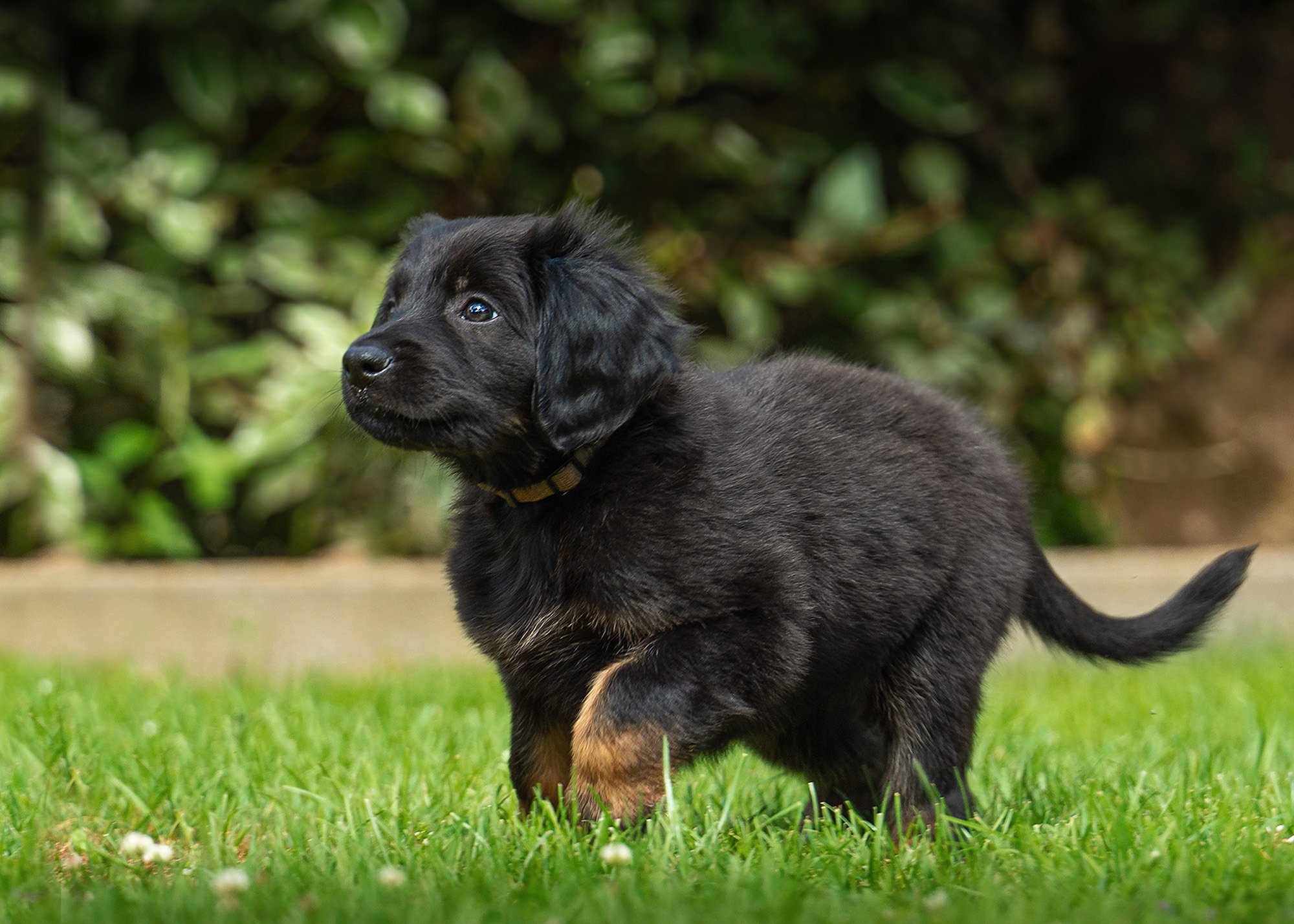 Alina von der Hohen Breite_2