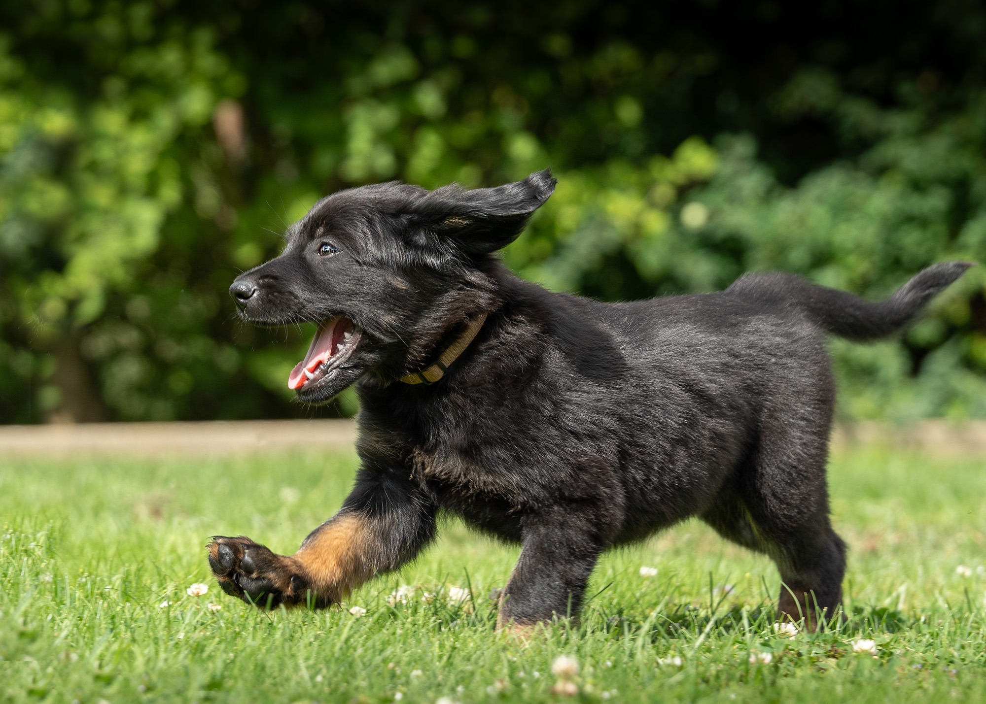 Alina von der Hohen Breite_3