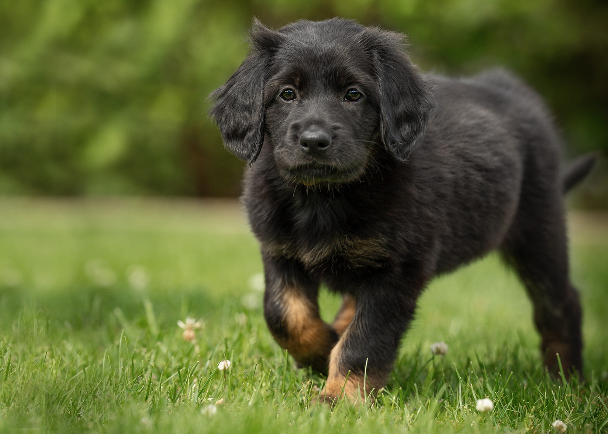 Alina von der Hohen Breite_4