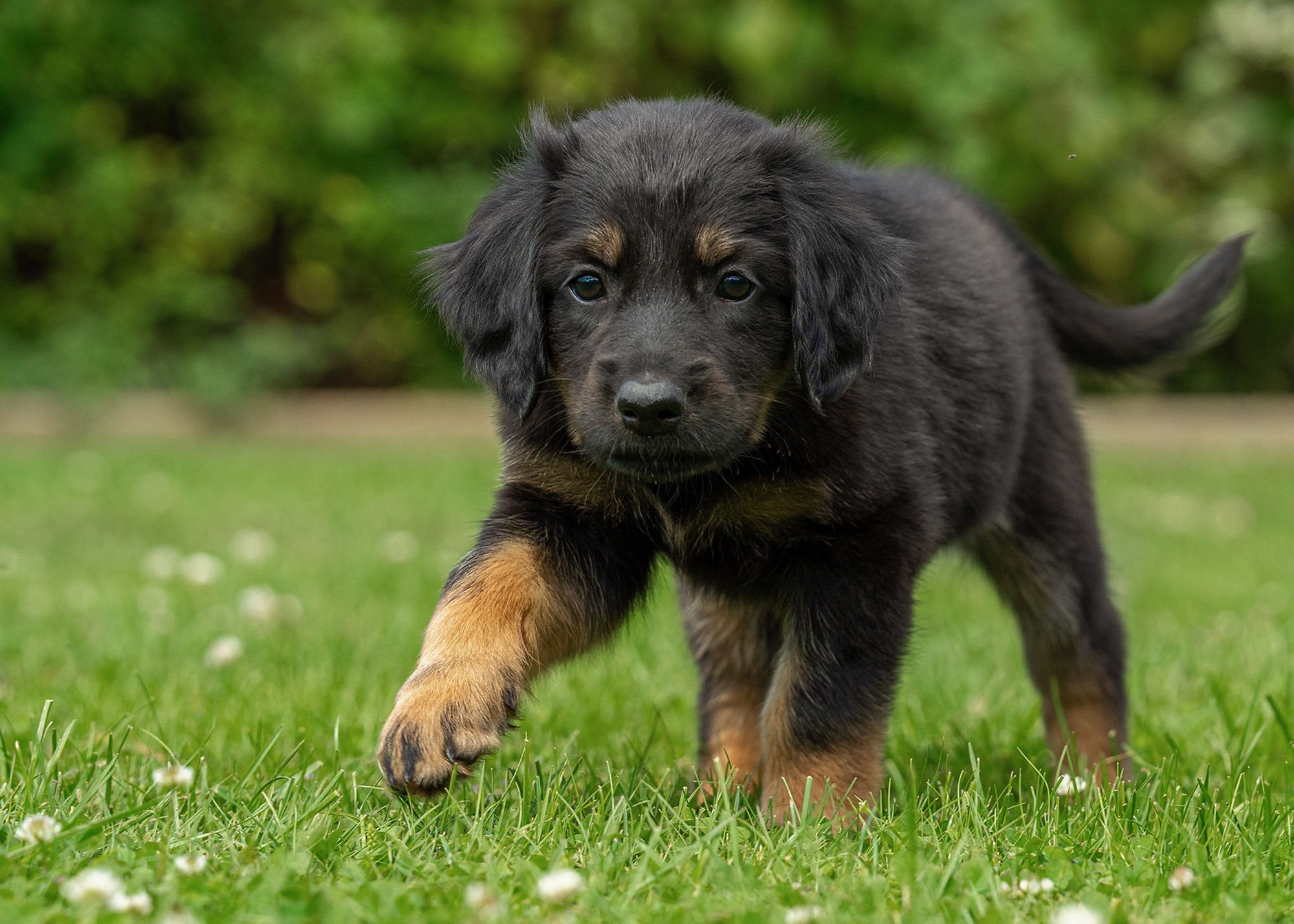 Ayka von der Hohen Breite_8