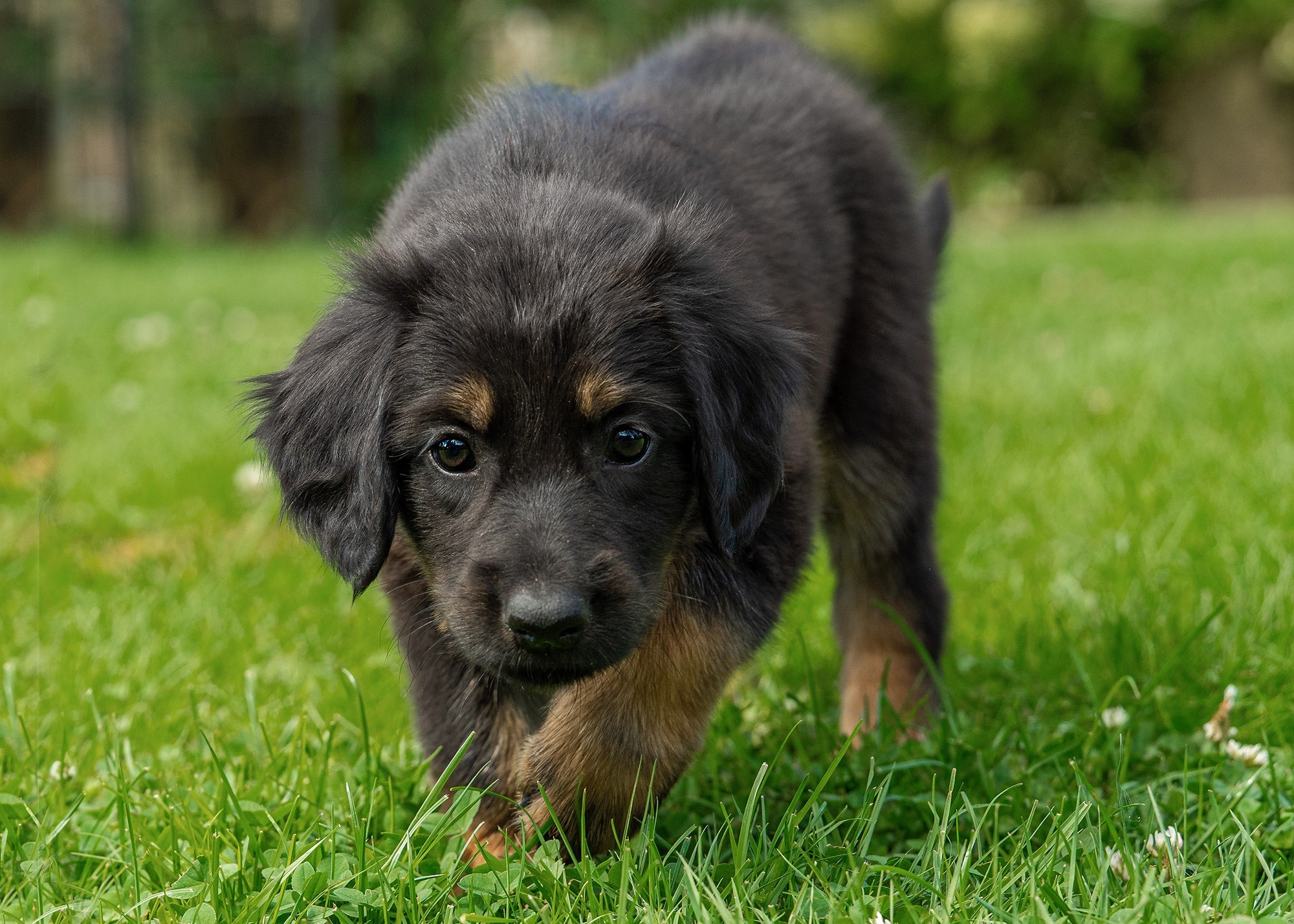 Ayka von der Hohen Breite_9