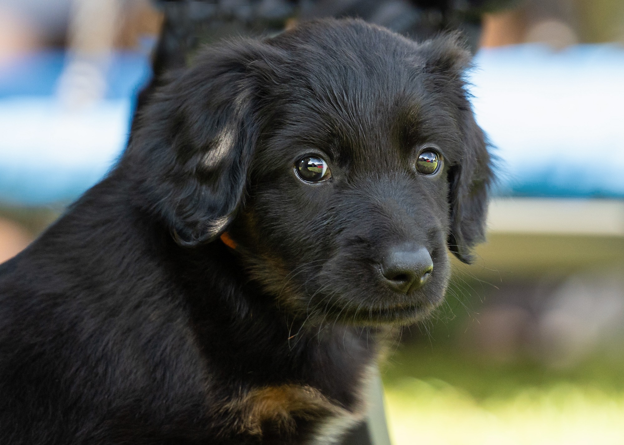 Ayla von der Hohen Breite_1