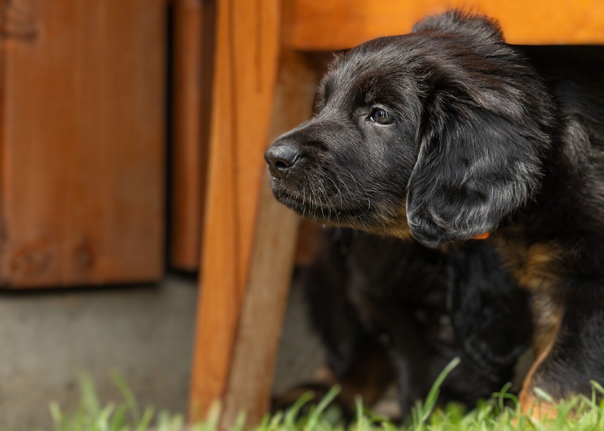 Ayla von der Hohen Breite_3