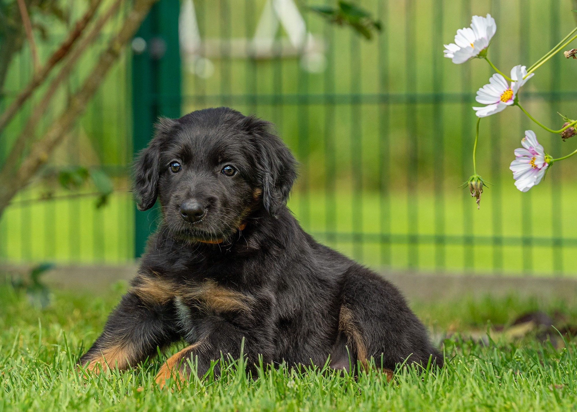 Ayla von der Hohen Breite_4