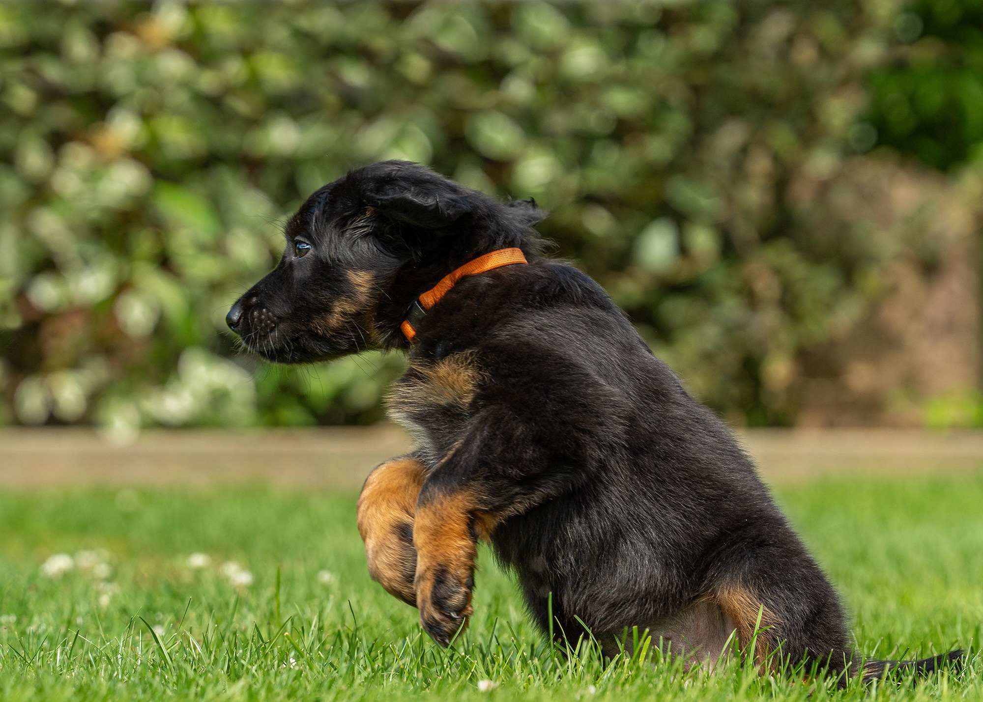 Ayla von der Hohen Breite_5