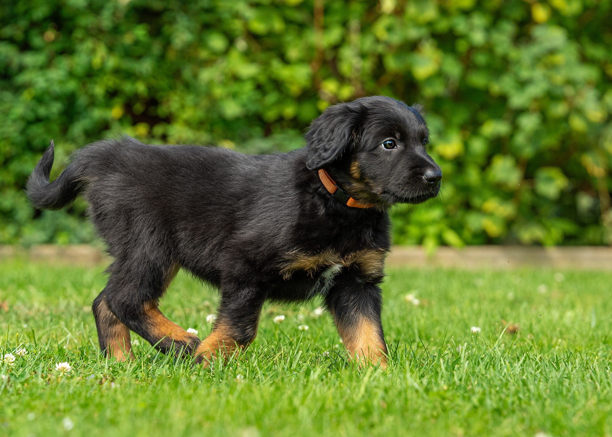 Ayla von der Hohen Breite_6